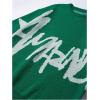imageSHENHE Mens Crew Neck Graphic Sweater Long Sleeve Gothic Loose Sweater Pullover TopLetters Green